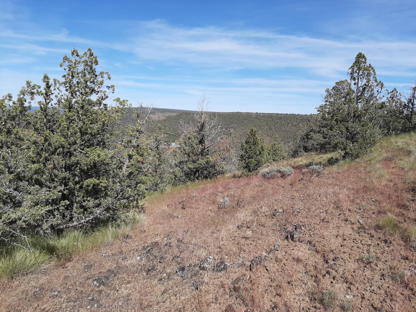 TL1400 SE Night Hawk Court