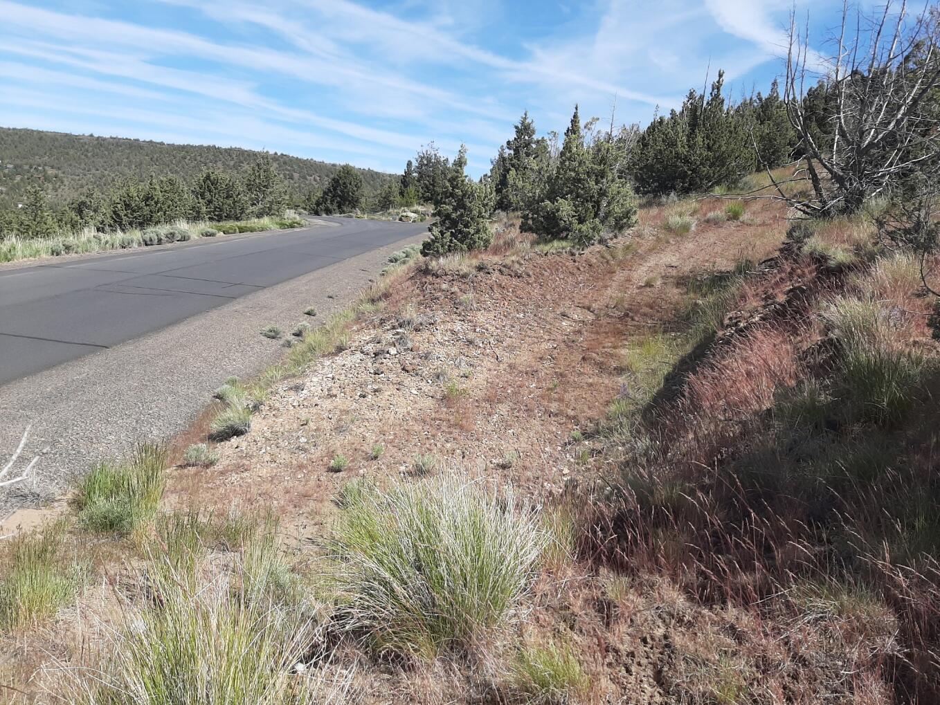 TL1400 SE Night Hawk Court