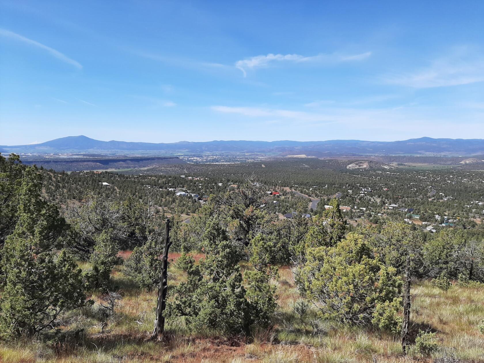 TL1400 SE Night Hawk Court