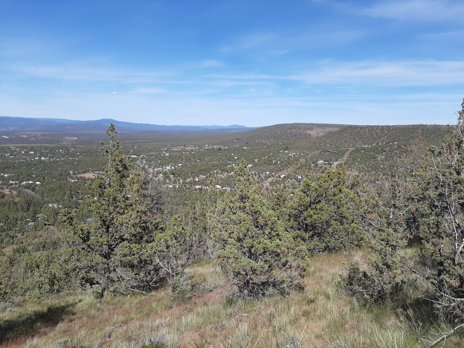 TL1400 SE Night Hawk Court