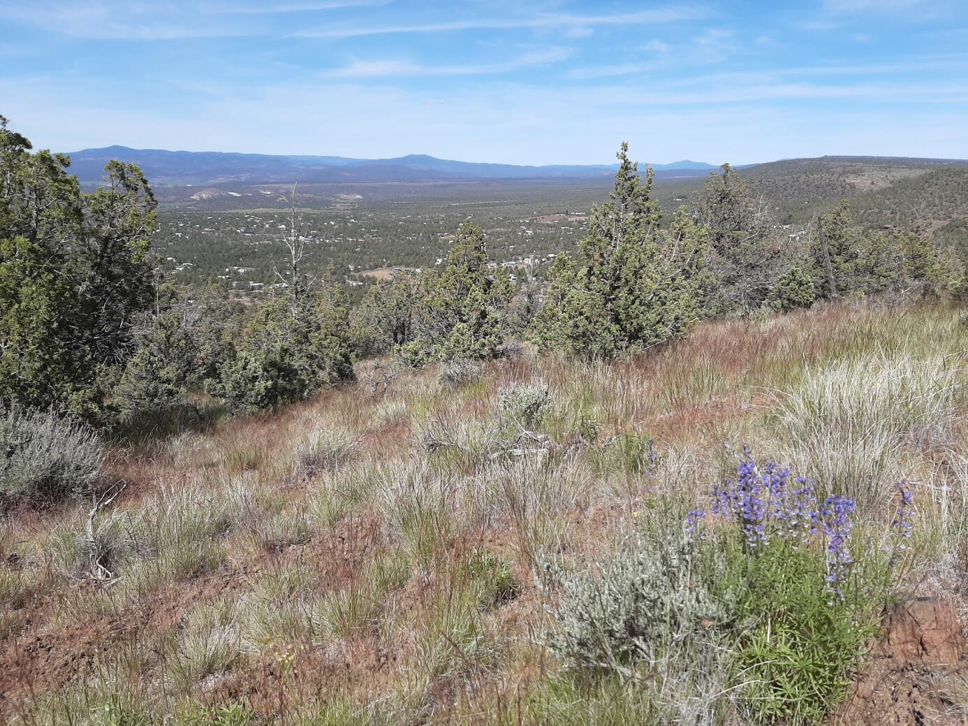 TL1400 SE Night Hawk Court