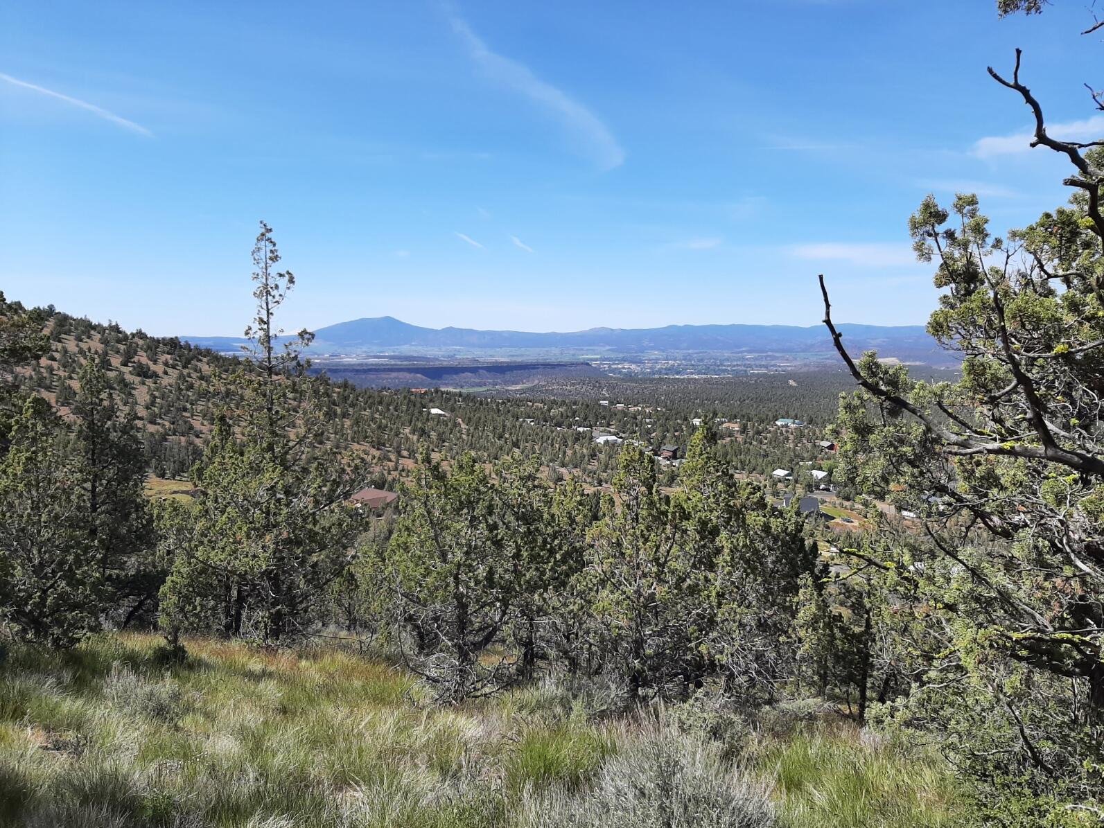 TL1400 SE Night Hawk Court