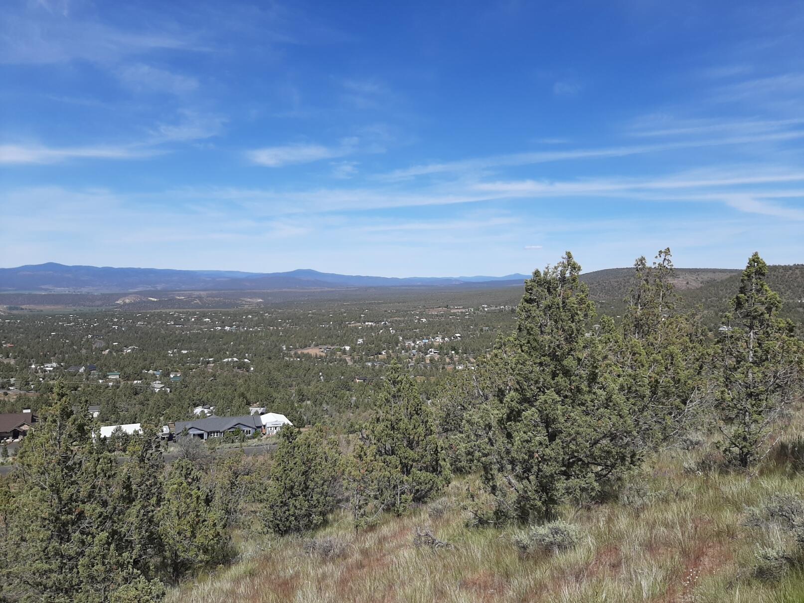 TL1400 SE Night Hawk Court