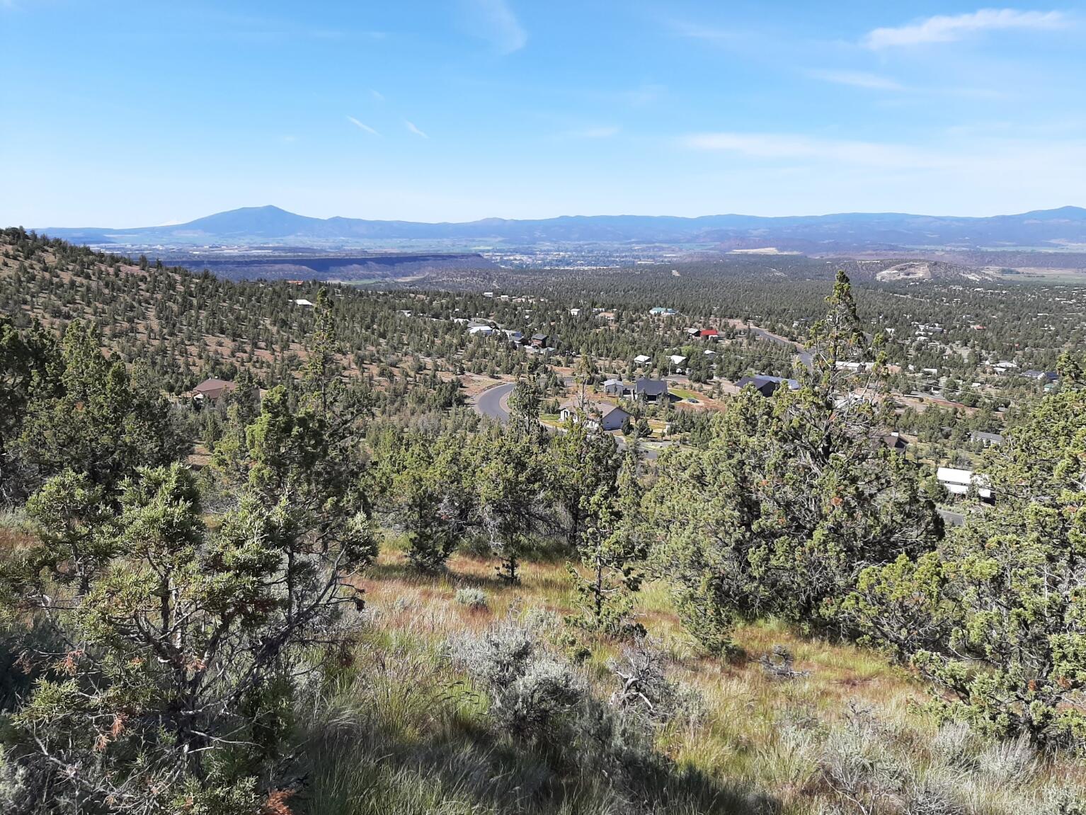 TL1400 SE Night Hawk Court