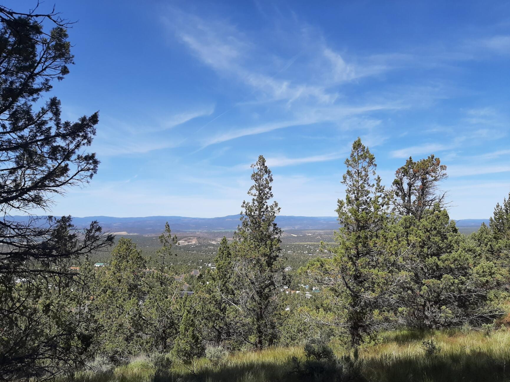 TL1400 SE Night Hawk Court