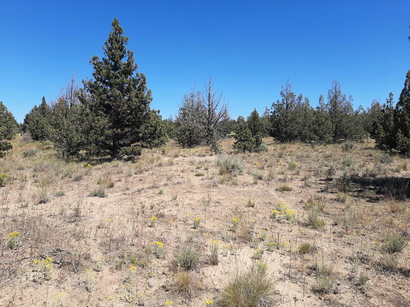 TL2200 TL3100 SE Yakima Road