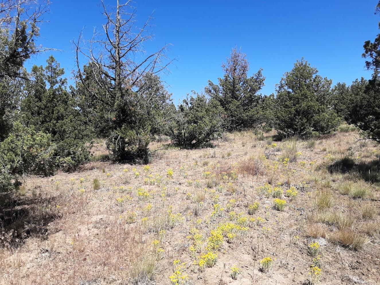 TL2200 TL3100 SE Yakima Road