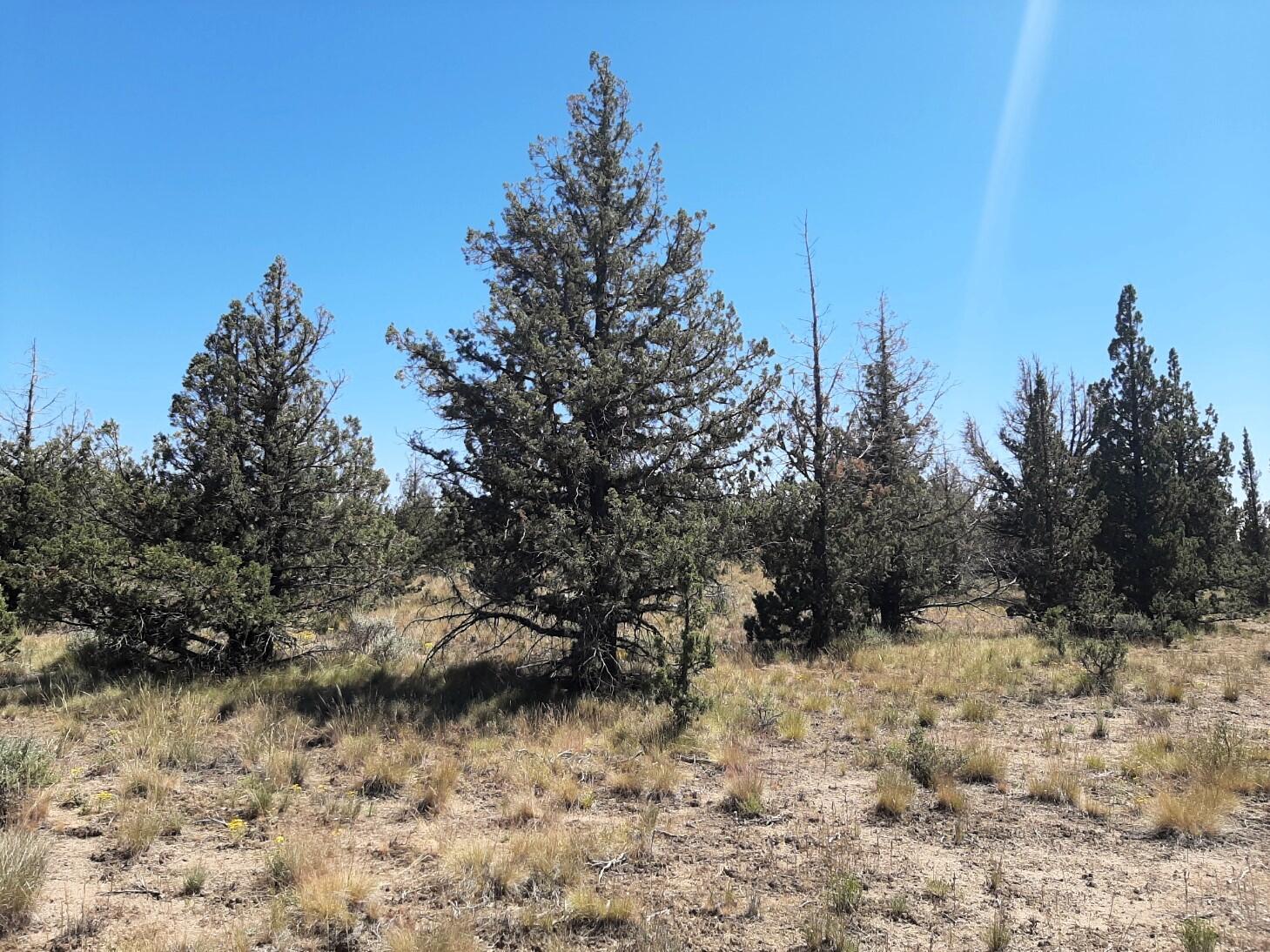 TL2200 TL3100 SE Yakima Road