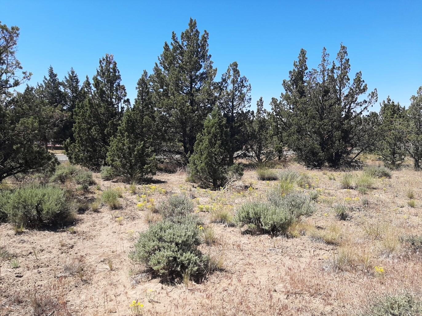 TL2200 TL3100 SE Yakima Road