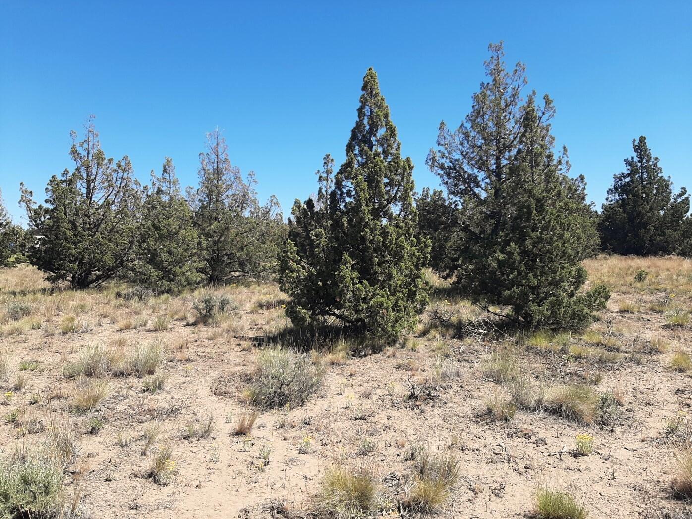 TL2200 TL3100 SE Yakima Road