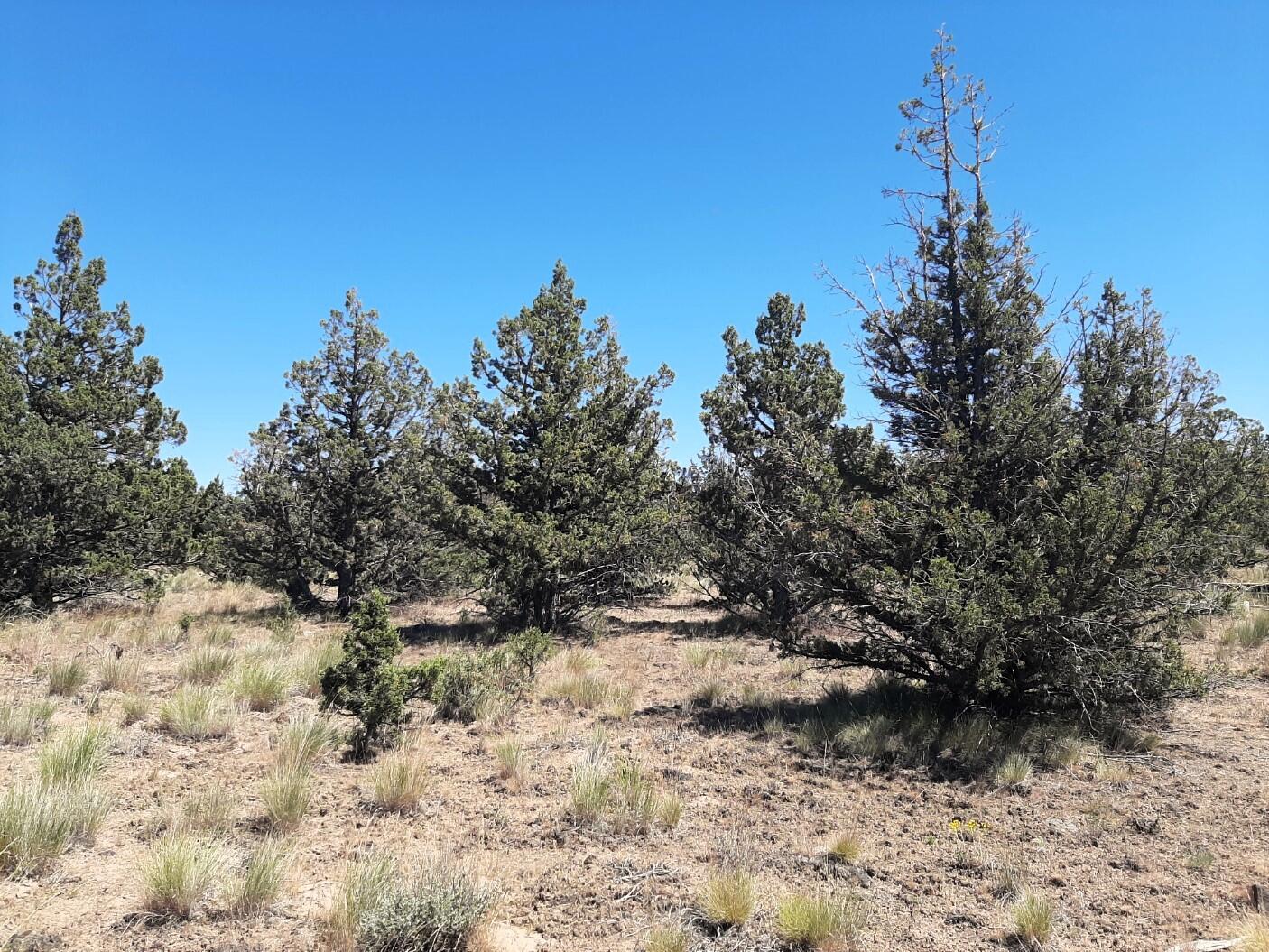 TL2200 TL3100 SE Yakima Road