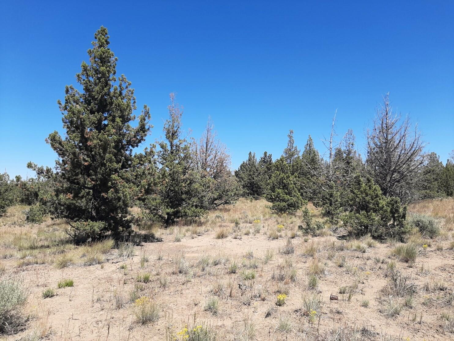 TL2200 TL3100 SE Yakima Road