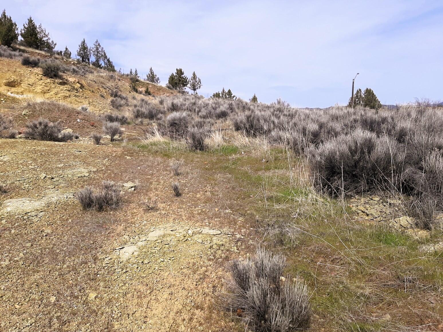 Lots 8 -11 NE Bobbi Court