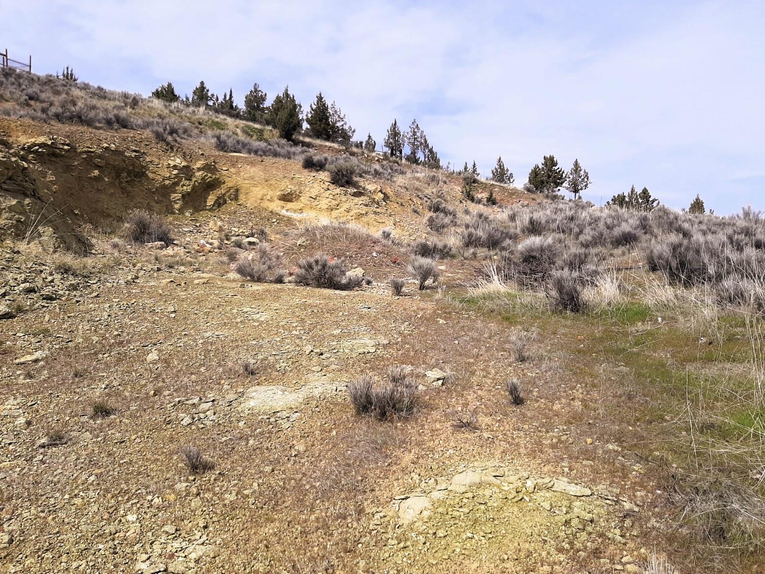 Lots 8 -11 NE Bobbi Court