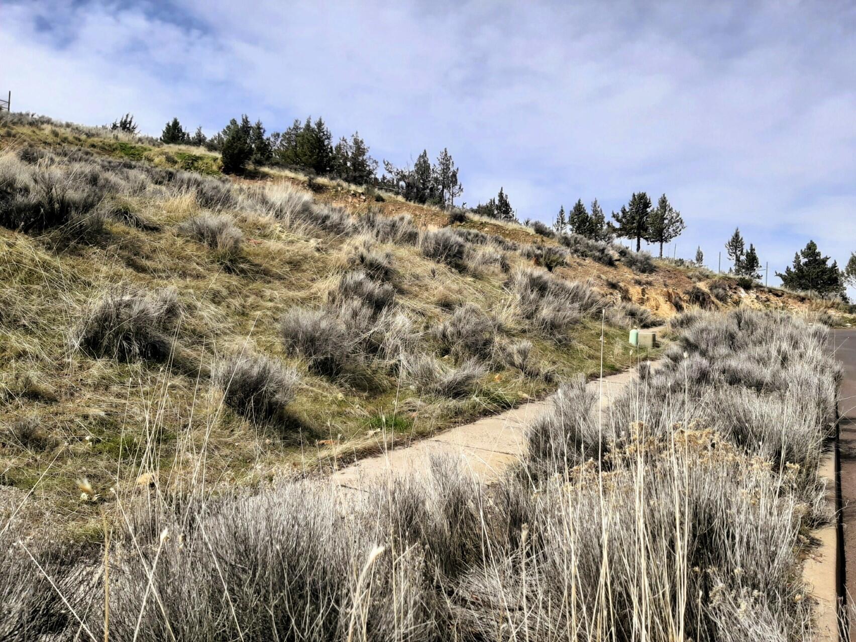 Lots 8 -11 NE Bobbi Court