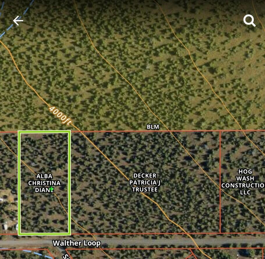 TL500 SE Walther Loop