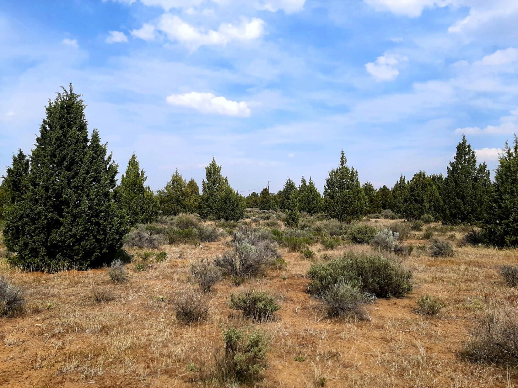 TL1500 SE Tillamook Loop