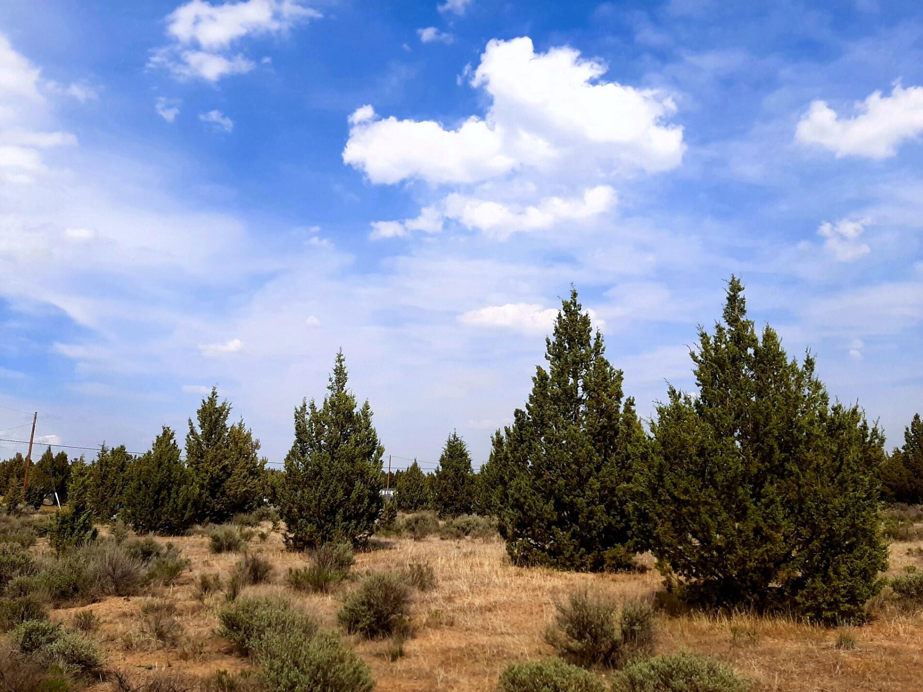 TL1500 SE Tillamook Loop