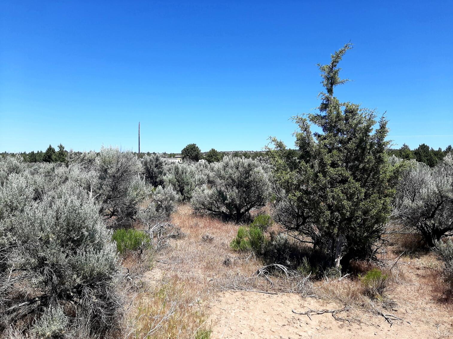 TL6200 SE Snake Road