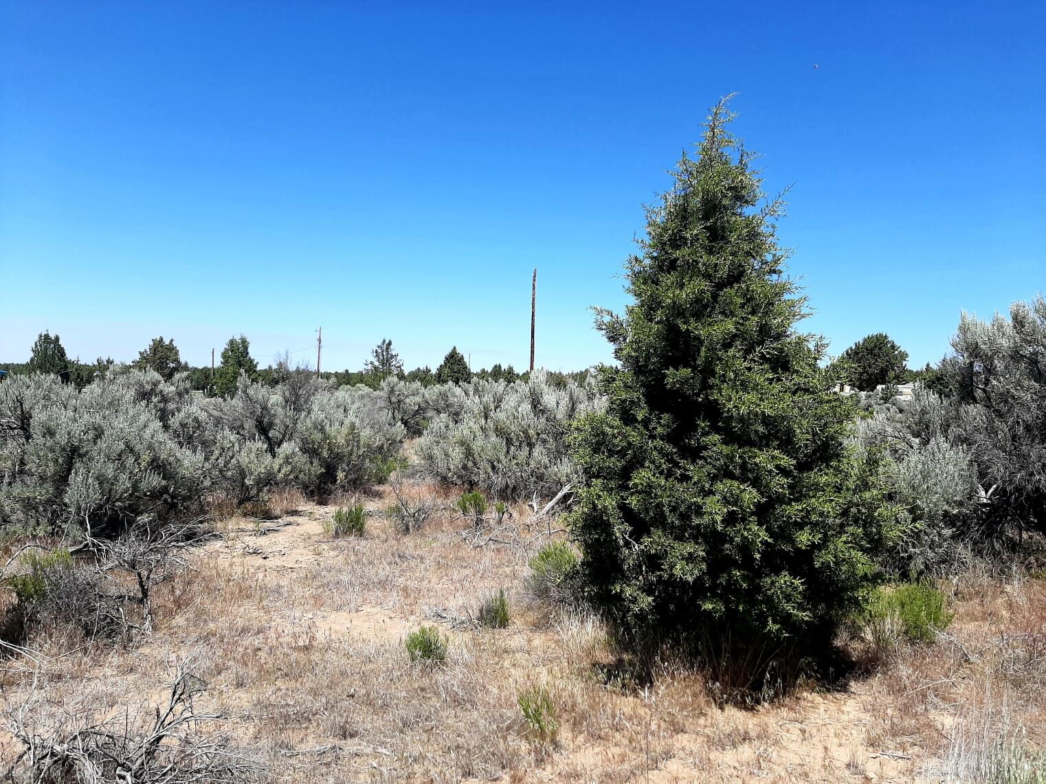 TL6200 SE Snake Road