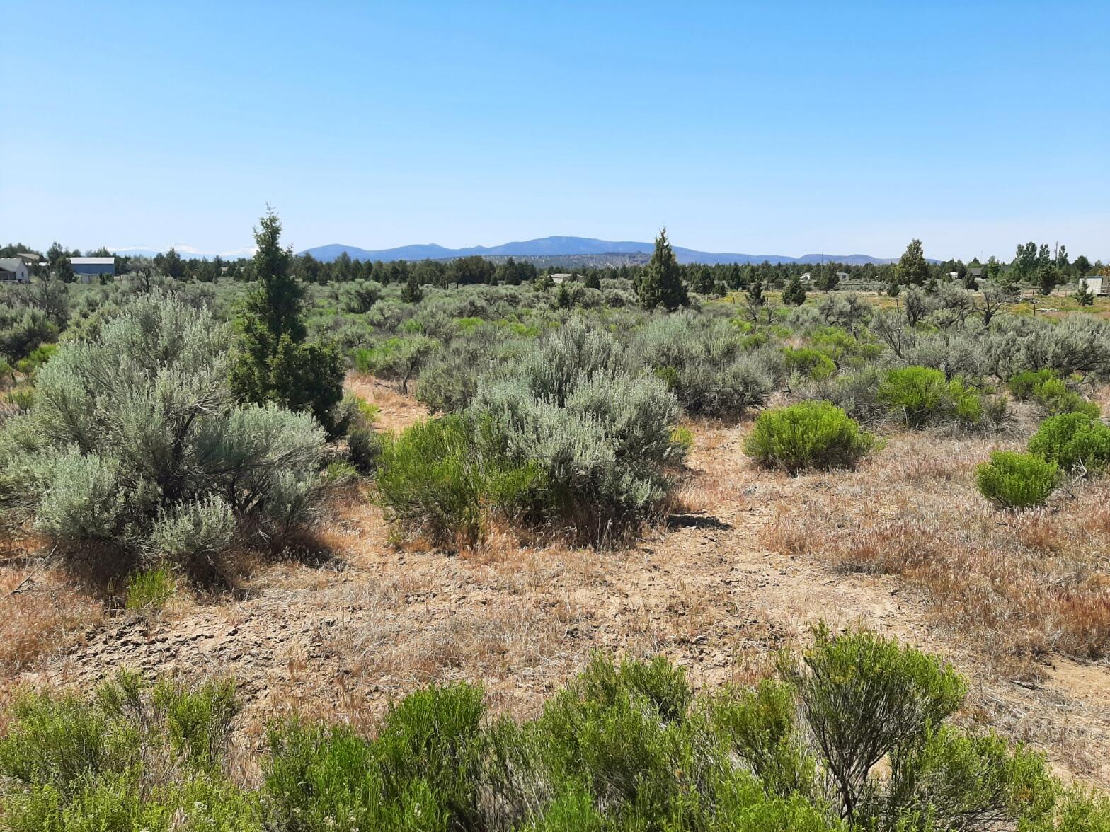 TL6200 SE Snake Road