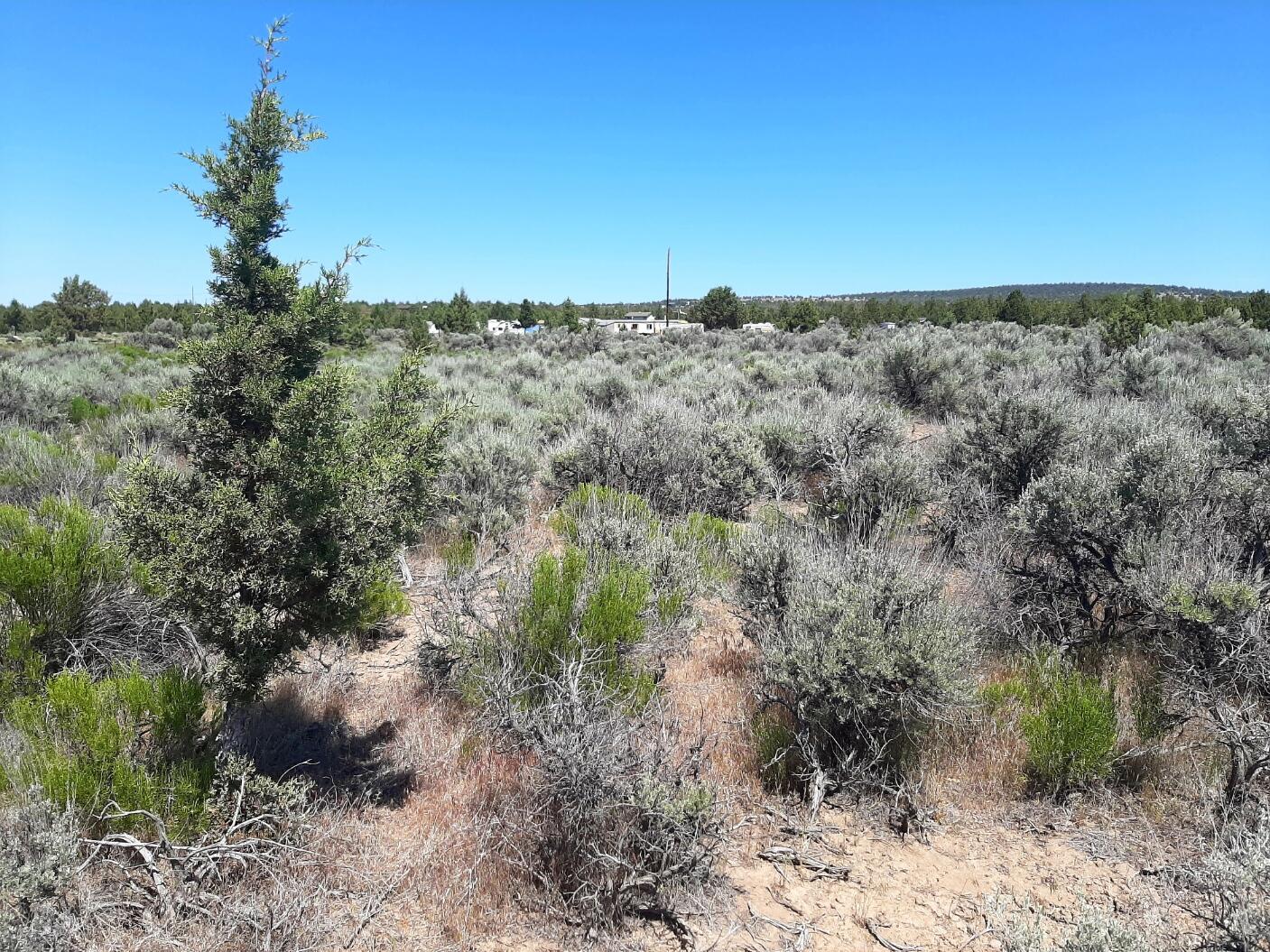 TL6200 SE Snake Road