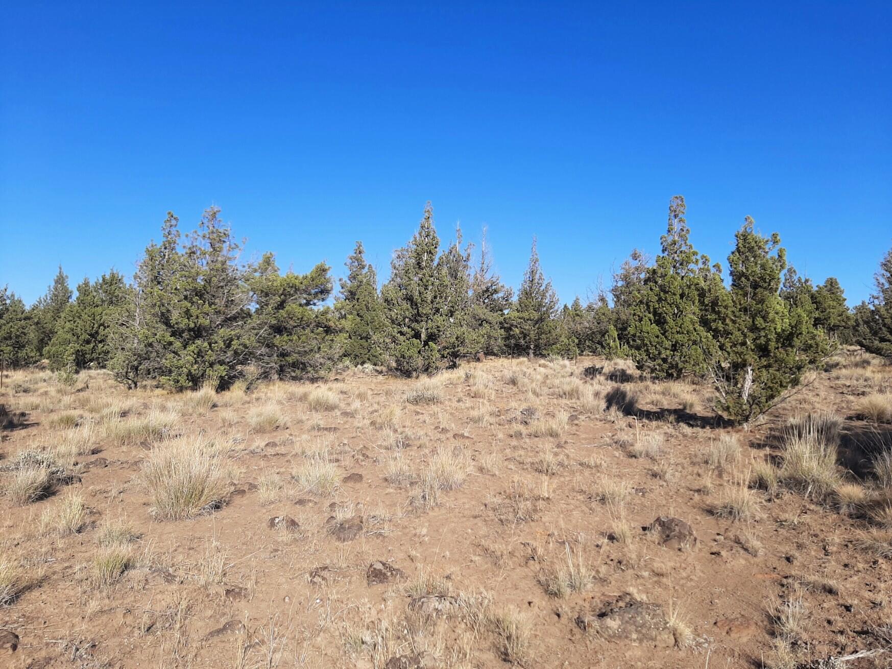 TL900 SE Tillamook Loop