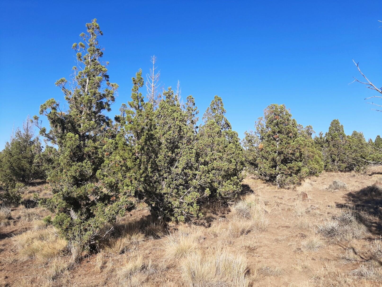 TL900 SE Tillamook Loop