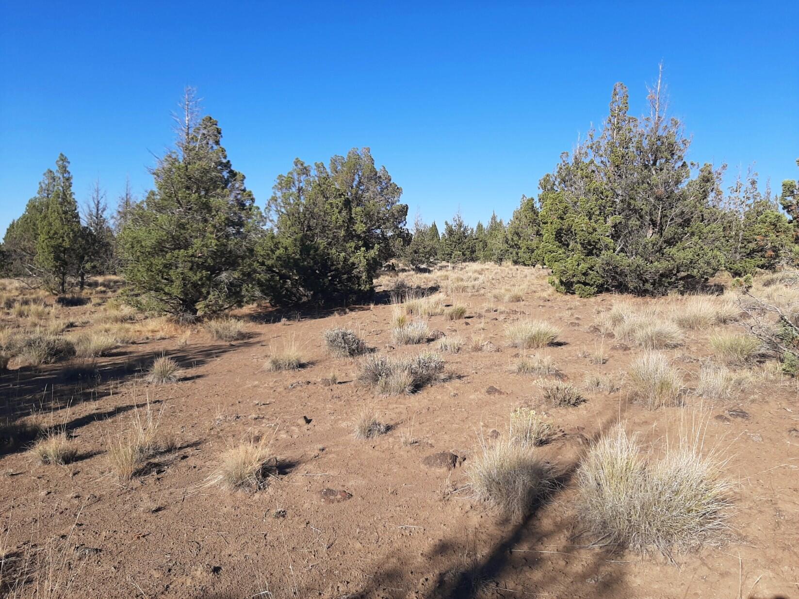 TL900 SE Tillamook Loop