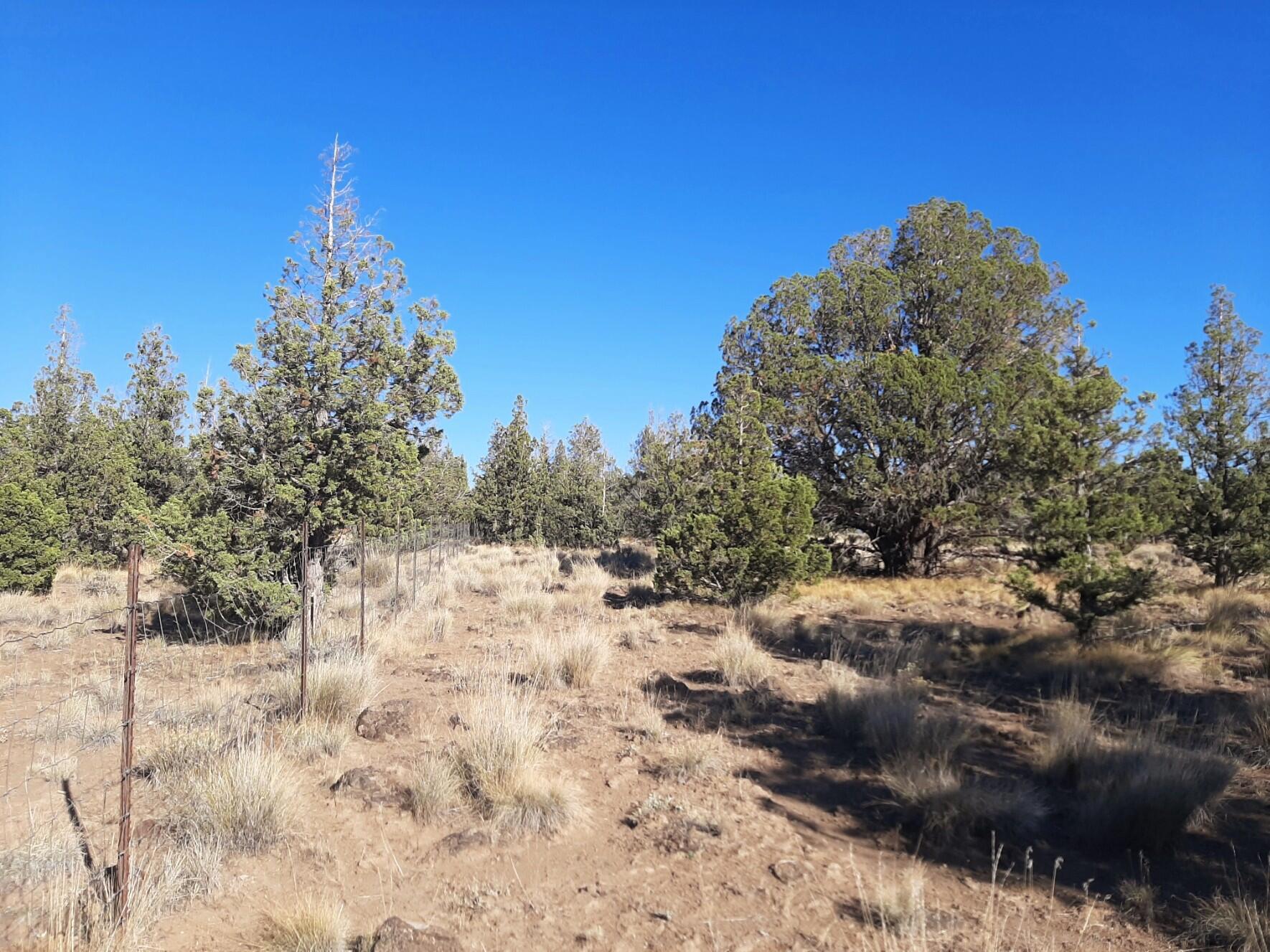 TL900 SE Tillamook Loop