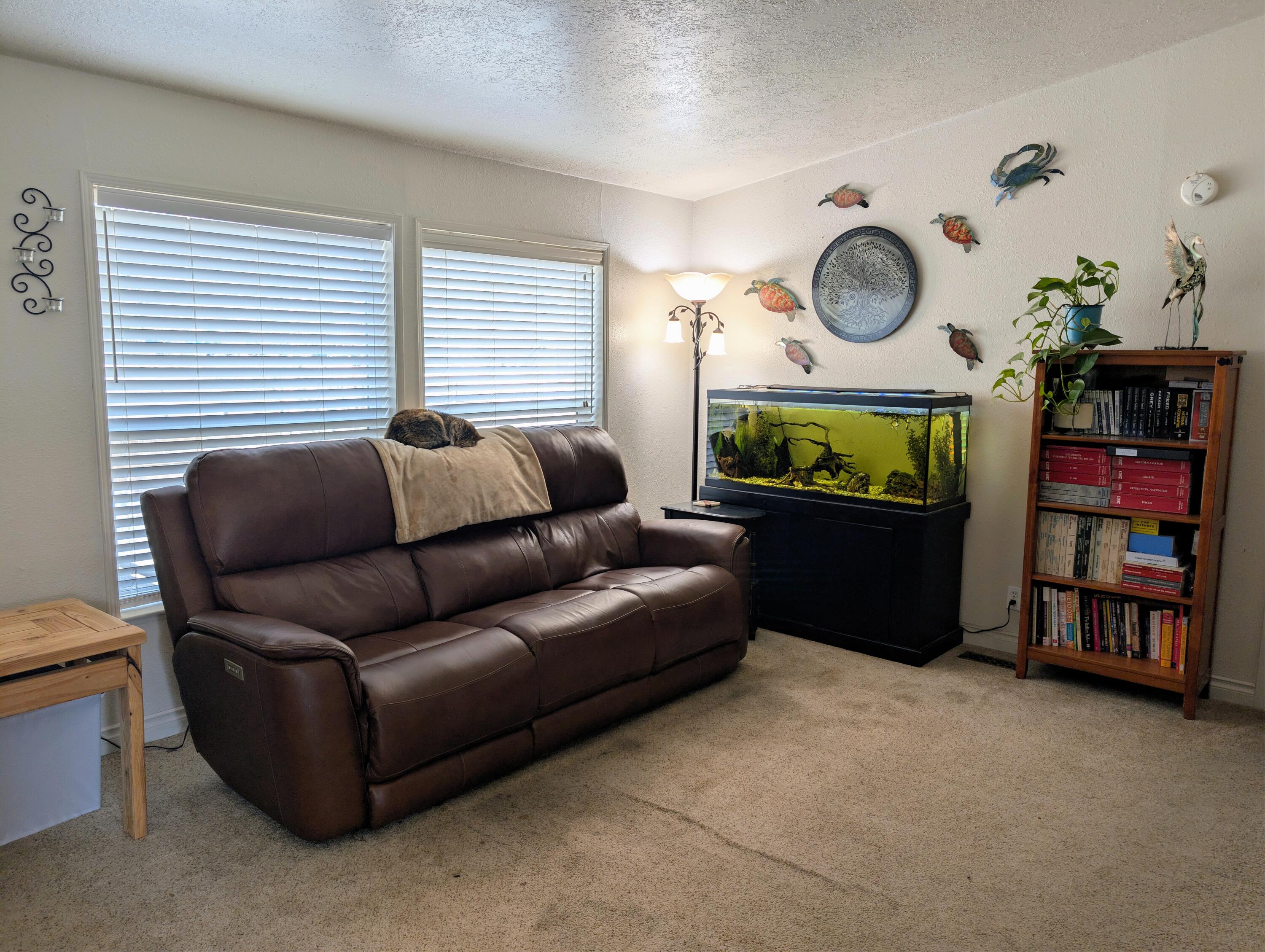 19877 Mahogany Street