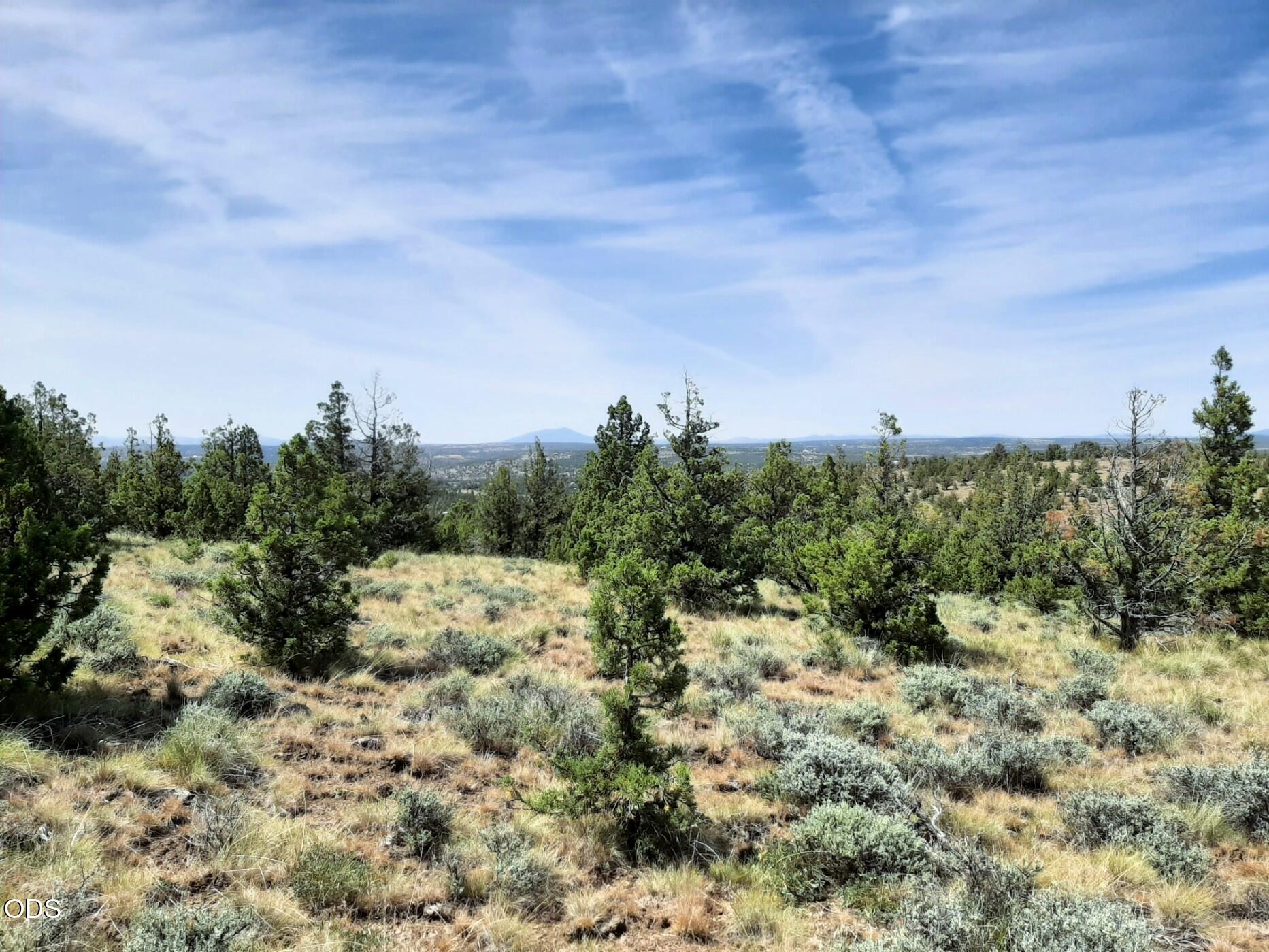 TL4800 SE Weatherby Loop, 4800
