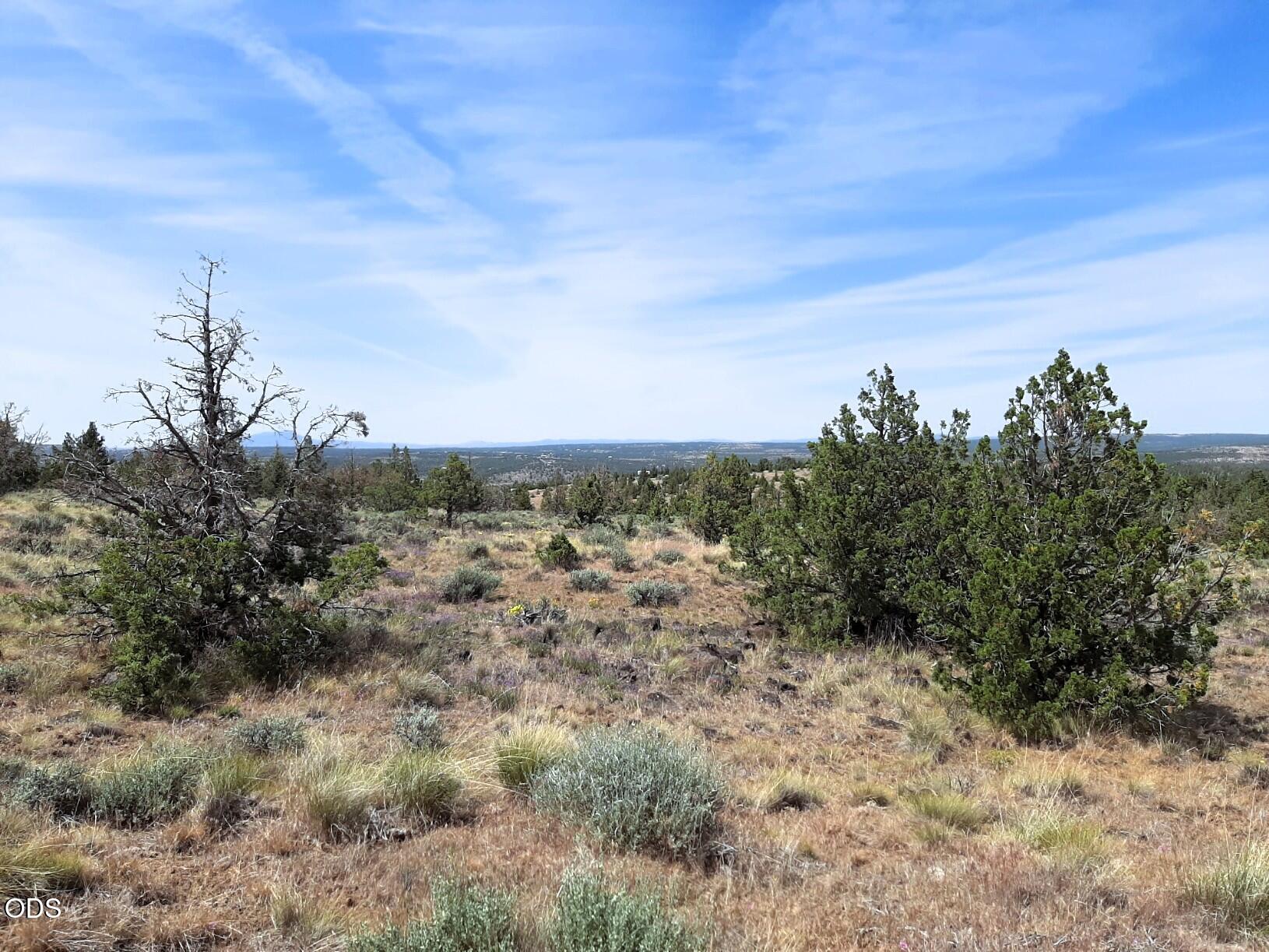 TL4800 SE Weatherby Loop, 4800