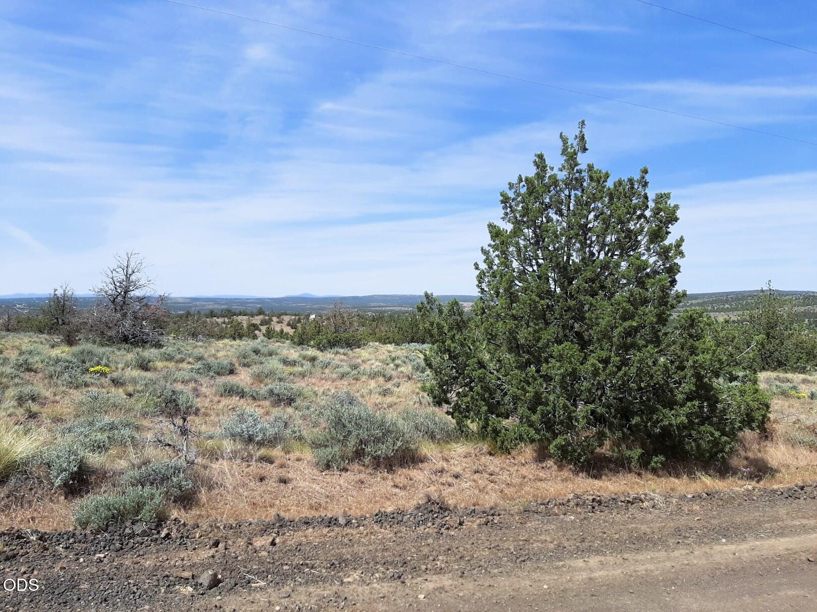 TL4800 SE Weatherby Loop, 4800