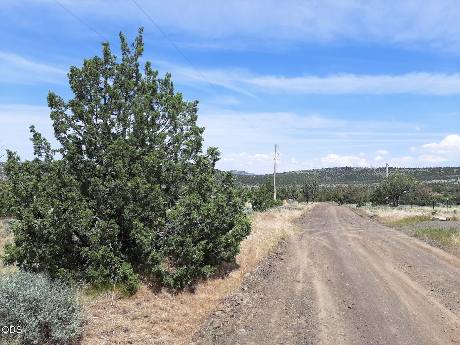 TL4800 SE Weatherby Loop, 4800