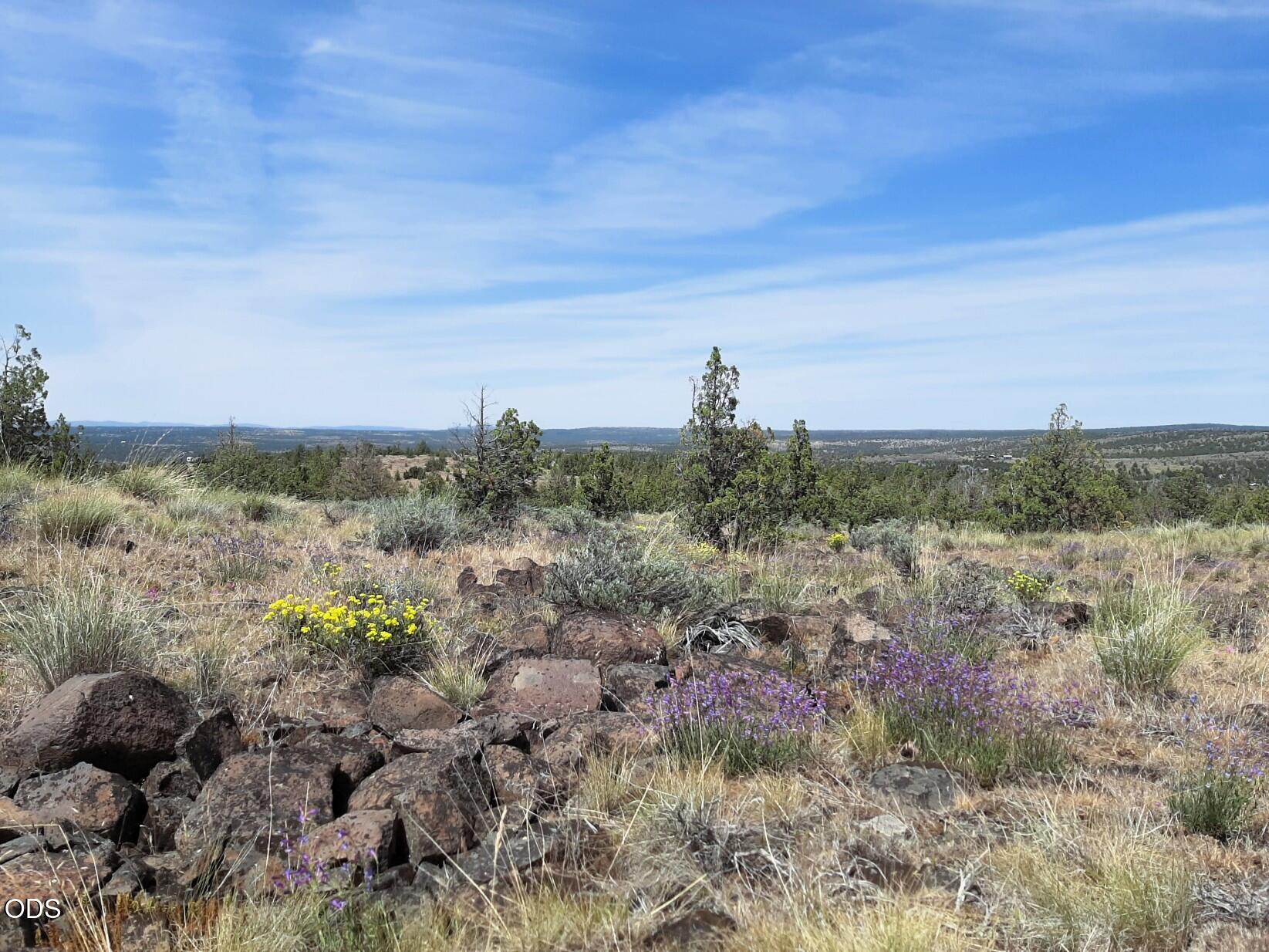 TL4800 SE Weatherby Loop, 4800