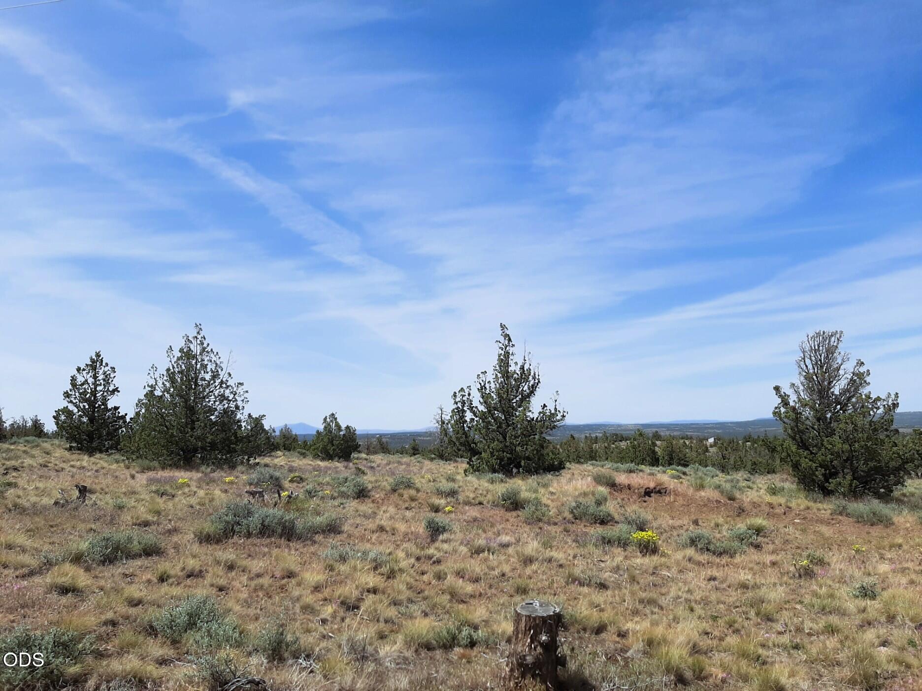 TL4800 SE Weatherby Loop, 4800