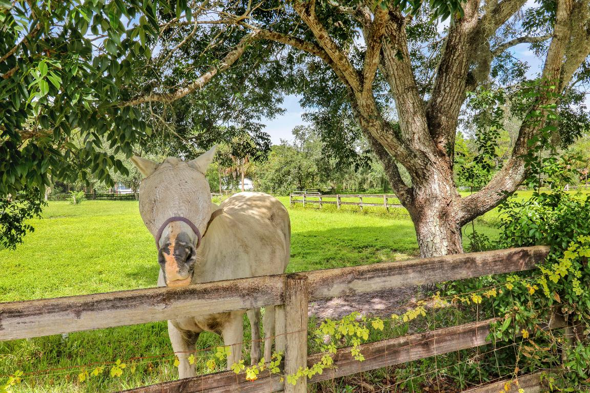 12818 Old Indiantown Road