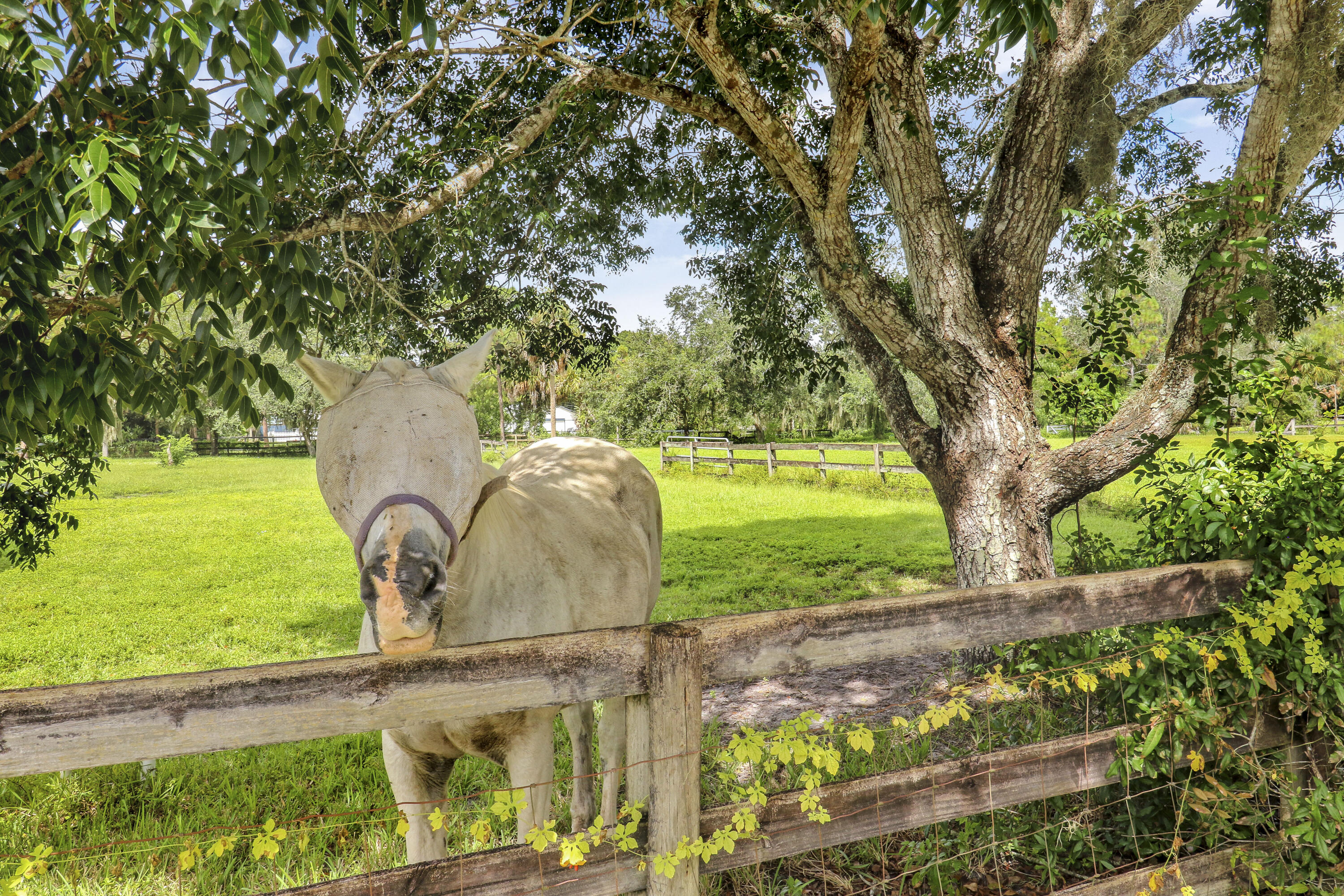 12818 Old Indiantown Road