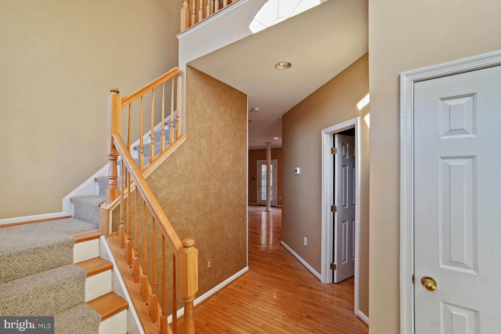 21214 Virginia Pine Ter