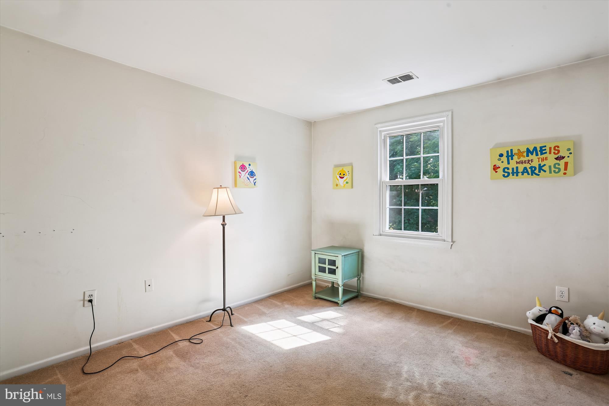 509 MONET DRIVE