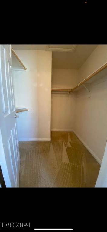 2343 Koho Drive 101