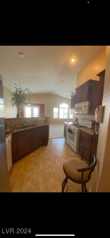 2343 Koho Drive 101