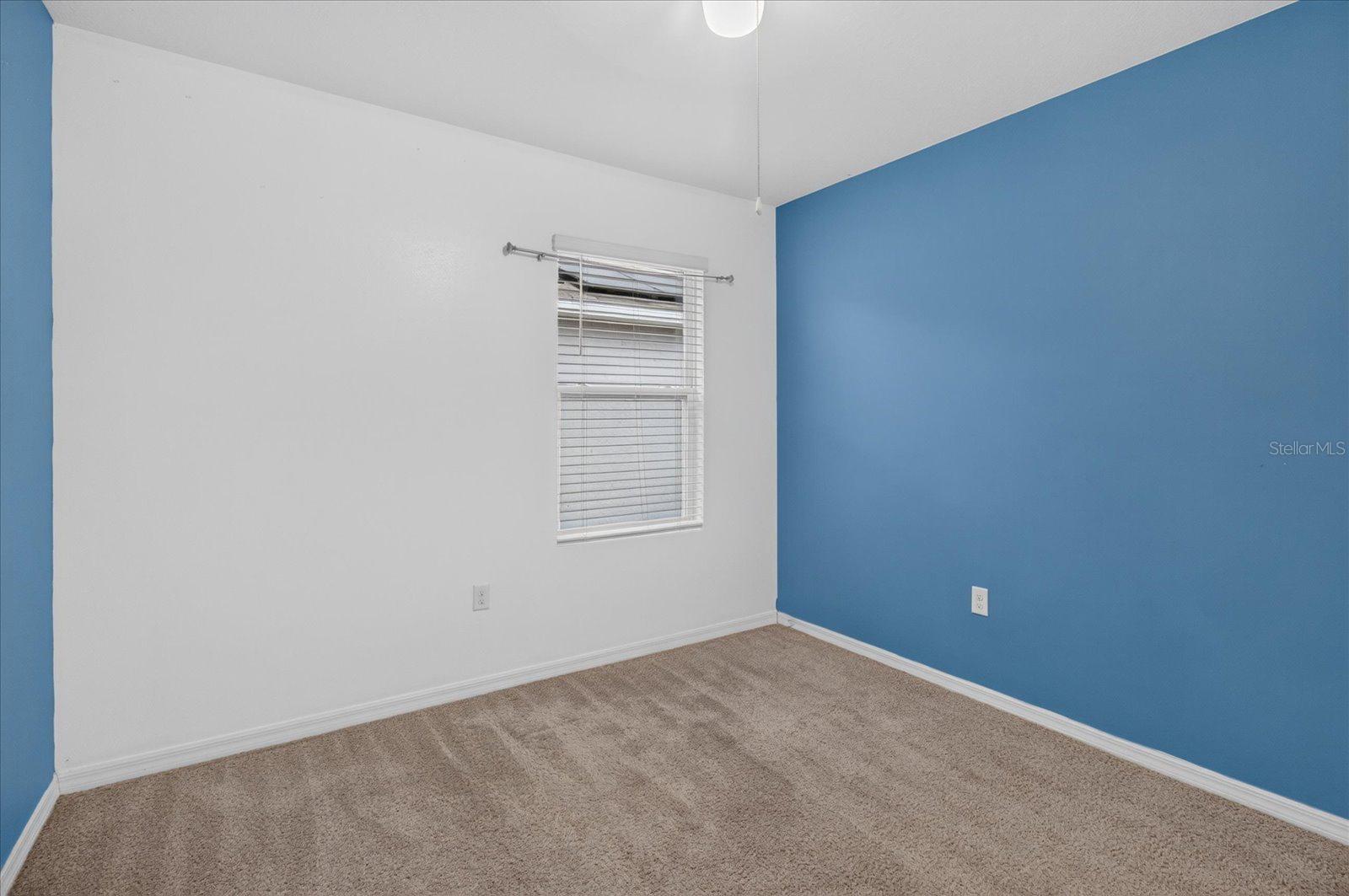 Empty carpeted room with a blue accent wall and a window with white blinds.