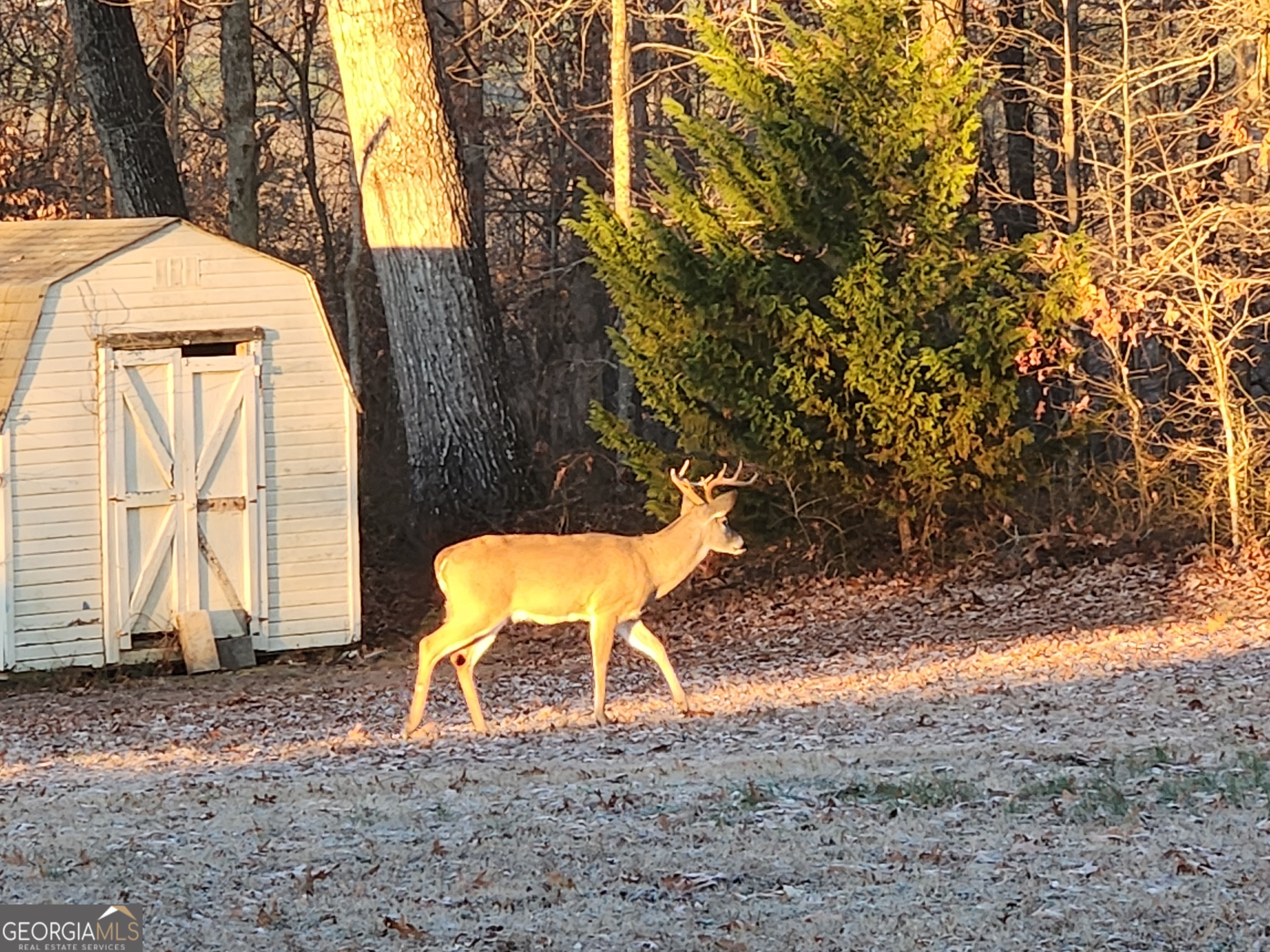 543 Scales Creek Road