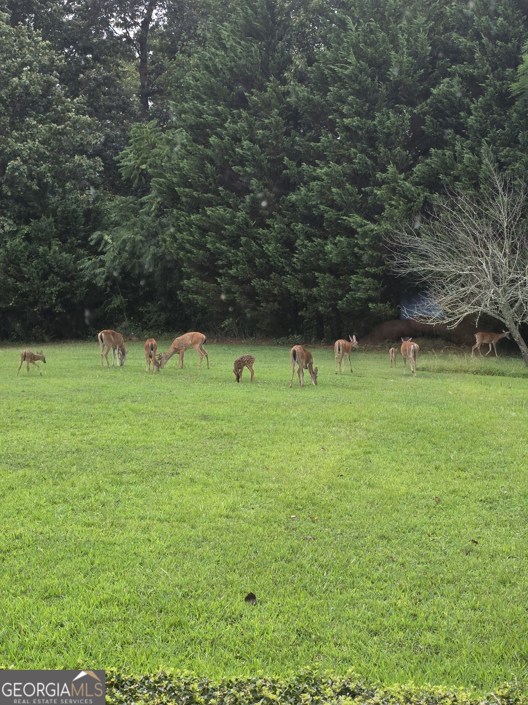 543 Scales Creek Road