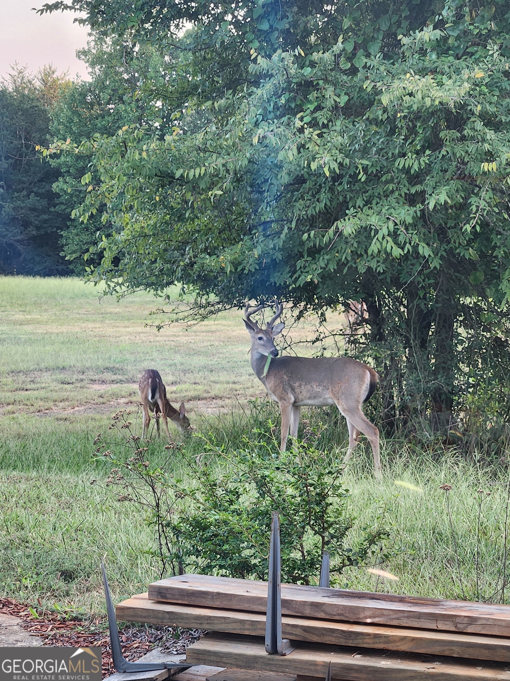 543 Scales Creek Road