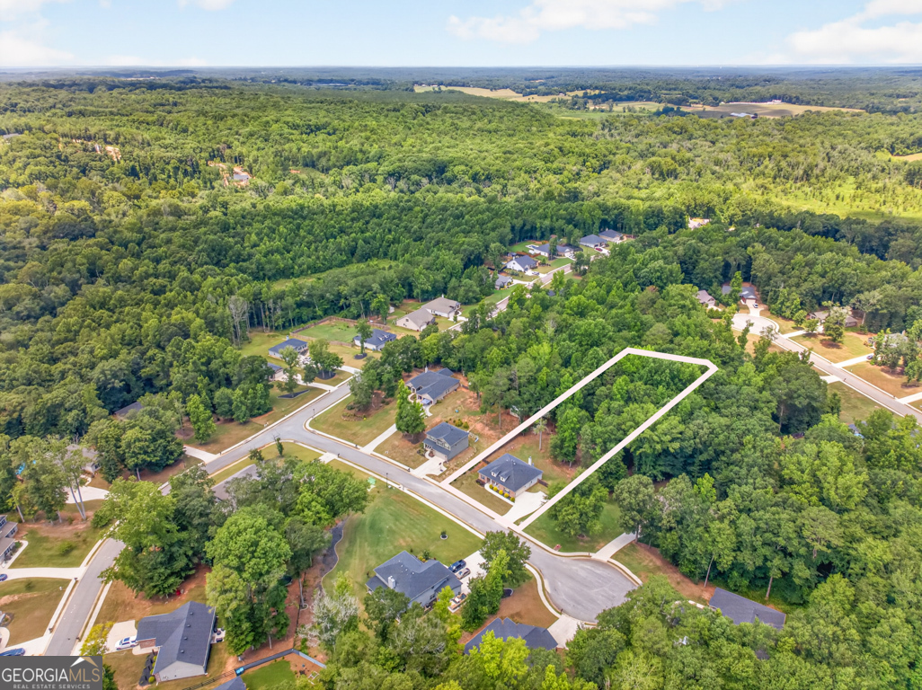517 Forest Path