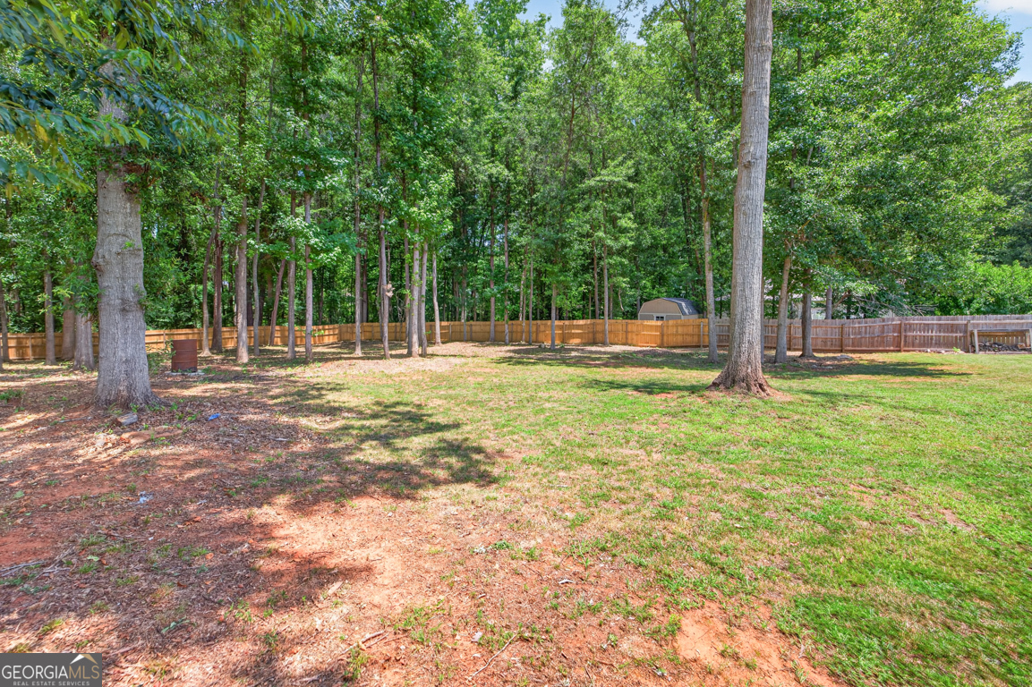 517 Forest Path