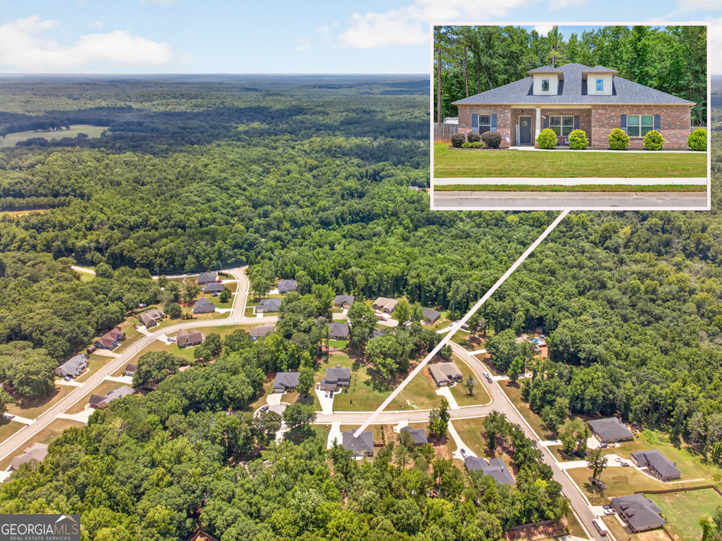 517 Forest Path